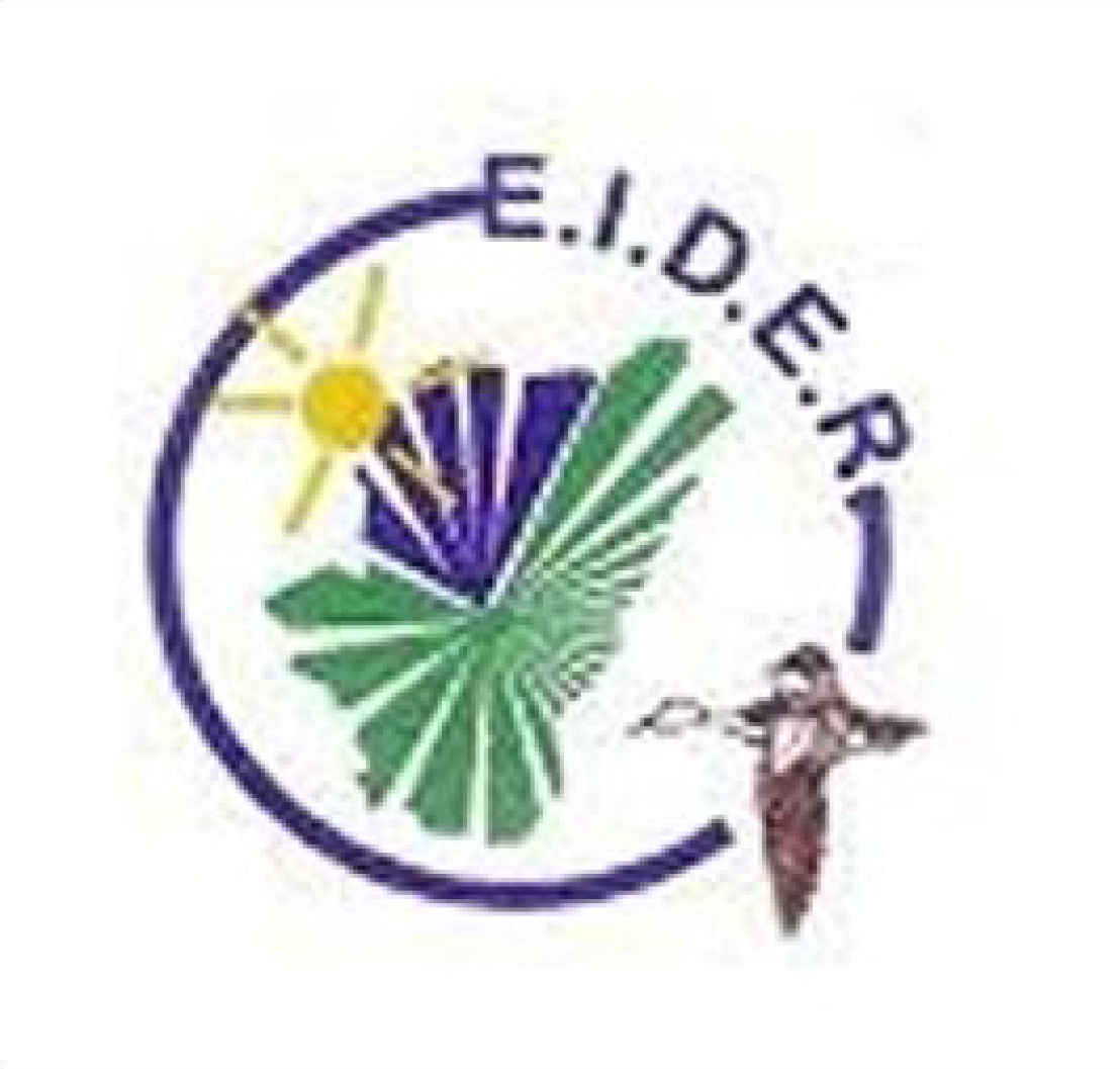 Logo Epicerie Eider
