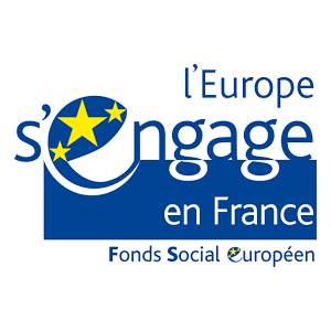 Logo FSE (Fond Social Européen)